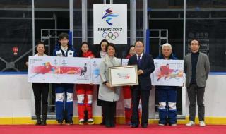中国第一枚雪上金牌由谁在2006年奥运会获得 2006年冬奥会